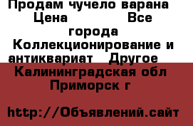 Продам чучело варана › Цена ­ 15 000 - Все города Коллекционирование и антиквариат » Другое   . Калининградская обл.,Приморск г.